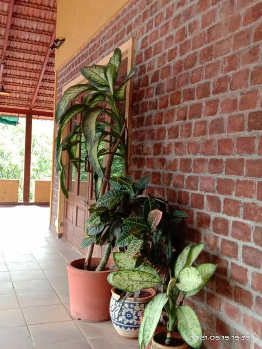 Sohana Eco Retreat Farmhouse - Karjat Chinchavli Eksteriør billede
