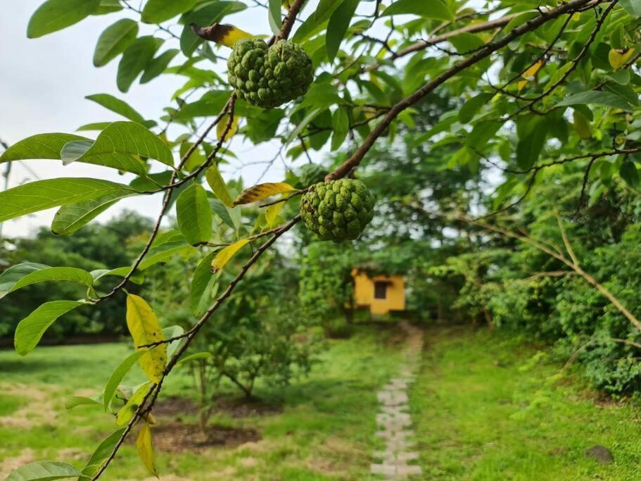 Sohana Eco Retreat Farmhouse - Karjat Chinchavli Eksteriør billede